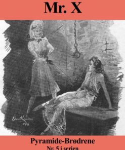 Mr. X Pyramide-Brødrene (E-bog)