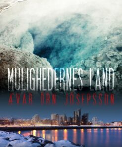 Mulighedernes land (E-bog)