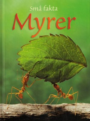 Myrer (Bog)