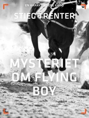 Mysteriet Om Flying Boy - Stieg Trenter - Bog