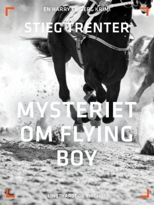 Mysteriet om Flying Boy (E-bog)