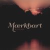 Mærkbart - Anne Weile - Bog