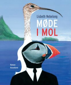 Møde I Mol - Lisbeth Nebelong - Bog