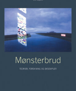 Mønsterbrud (E-bog)