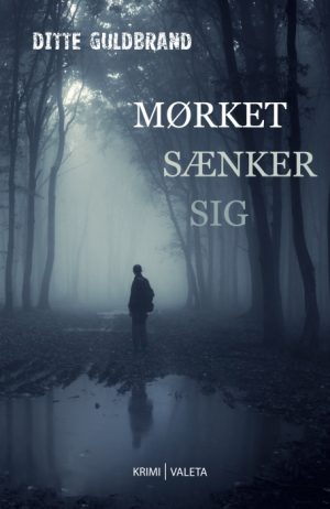 Mørket sænker sig (E-bog)