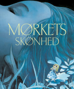 Mørkets Skønhed (Bog)