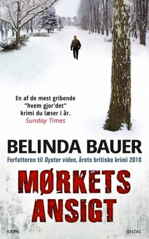 Mørkets ansigt (E-bog)