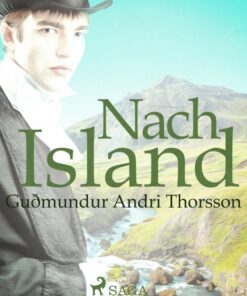 Nach Island (E-bog)