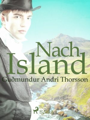 Nach Island (E-bog)