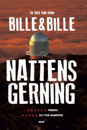 Nattens gerning (E-bog)