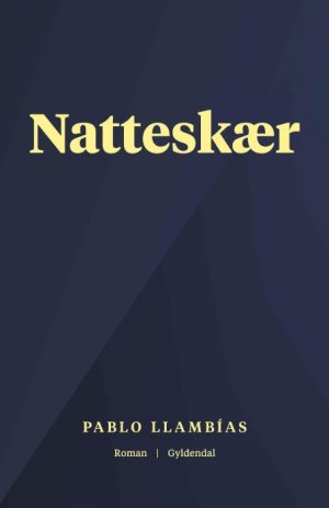 Natteskær (E-bog)