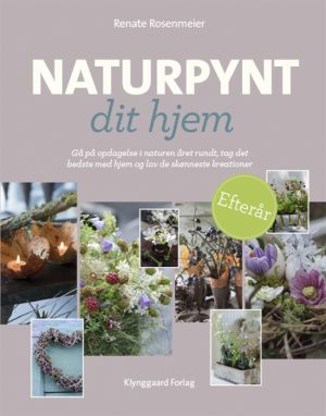 Naturpynt dit hjem EFTERÅR (E-bog)