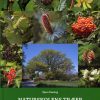 Naturskolens træer (Bog)