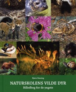 Naturskolens vilde dyr (Bog)