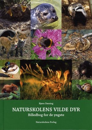 Naturskolens vilde dyr (Bog)