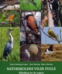 Naturskolens vilde fugle (Bog)