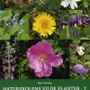 Naturskolens vilde planter 2 (Bog)