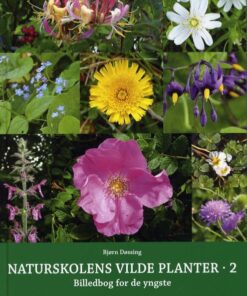 Naturskolens vilde planter 2 (Bog)