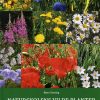 Naturskolens vilde planter (Bog)