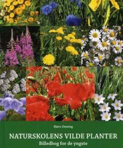 Naturskolens vilde planter (Bog)