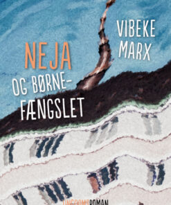 Neja og børnefængslet (Bog)