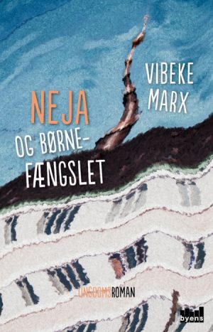 Neja og børnefængslet (Bog)