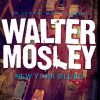 New York Blues (E-bog)