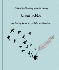 Ni Små Stykker - Amalie Hassing - Bog