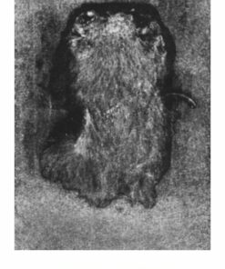 No Hard Feelings - Victor Boy Lindholm - Bog