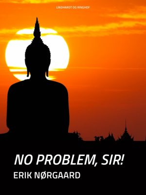 No problem, sir! (E-bog)