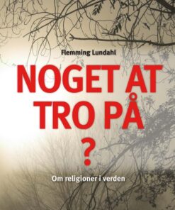 Noget at tro på? (E-bog)