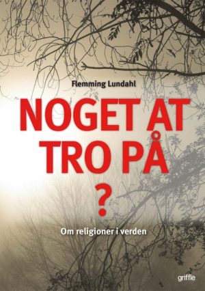 Noget at tro på? (E-bog)