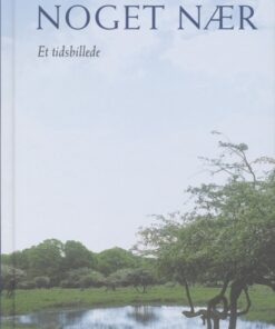 Noget nær (Bog)
