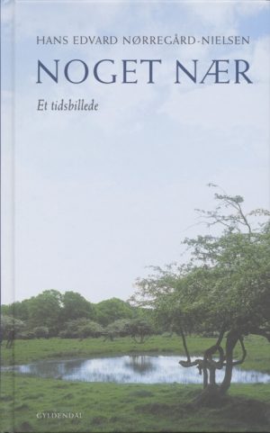 Noget nær (Bog)