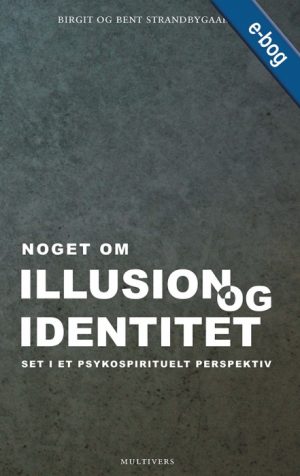 Noget om illusion og identitet (E-bog)