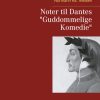 Noter til Dantes "Guddommelige Komedie" (E-bog)