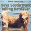 Nova Scotia duck tolling retriever (Bog)