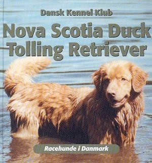 Nova Scotia duck tolling retriever (Bog)