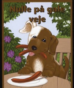 Nulle på gale veje (Bog)