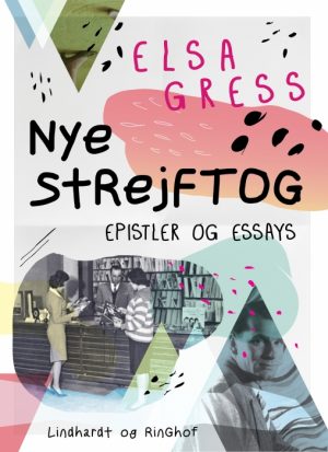 Nye strejftog: Essays og epistler (E-bog)