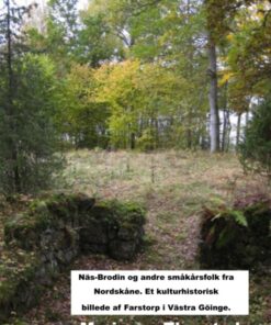 Näs-Brodin og andre småkårsfolk fra Nordskåne (E-bog)