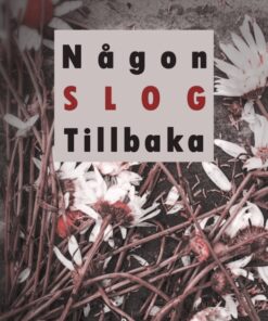Någon slog tillbaka (E-bog)