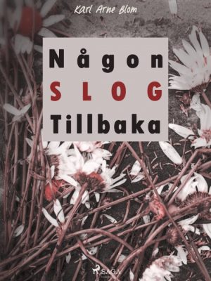 Någon slog tillbaka (E-bog)