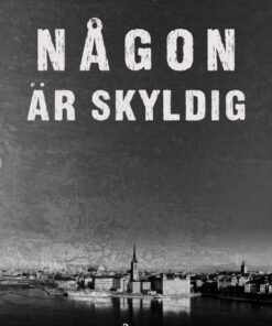 Någon är skyldig (E-bog)