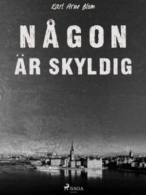 Någon är skyldig (E-bog)