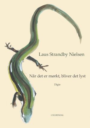 Når Det Er Mørkt, Bliver Det Lyst - Laus Strandby Nielsen - Bog