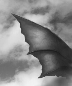 Når Drager Græder - Troels Pedersen - Bog