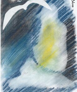 Når Fuglen Falder - Claes Blom - Bog