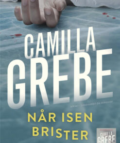 Når isen brister (Bog)