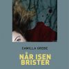 Når isen brister (storskrift) (Bog)